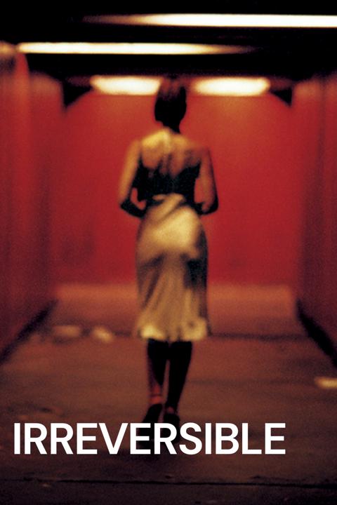 Movie poster for Irreversible