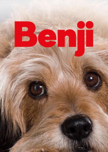 Benji poszter