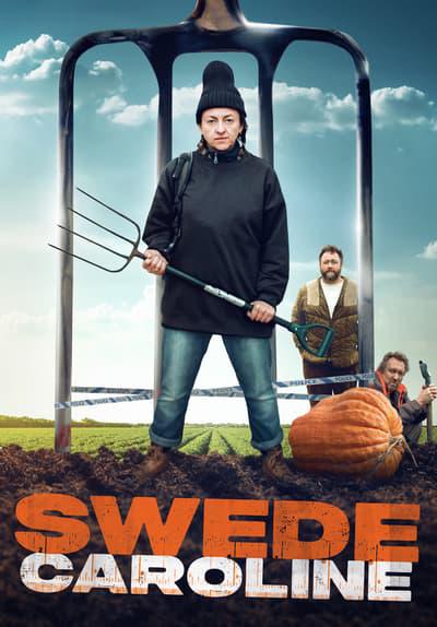 Movie poster for Swede Caroline