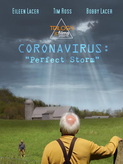 Movie poster for Coronavirus: Perfect Storm