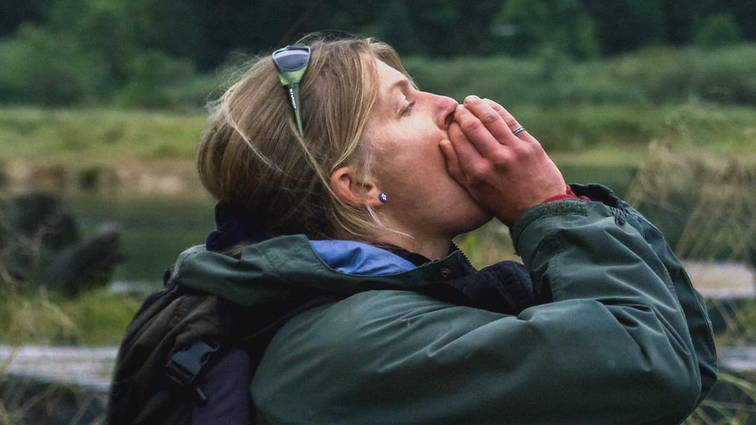 Background image for The Hidden Trail: Tracking Canada's Coastal Wolves