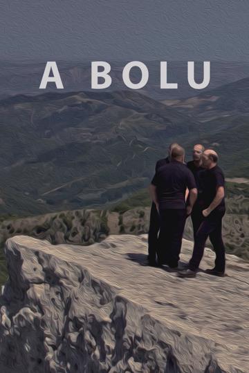 To Bolu poszter