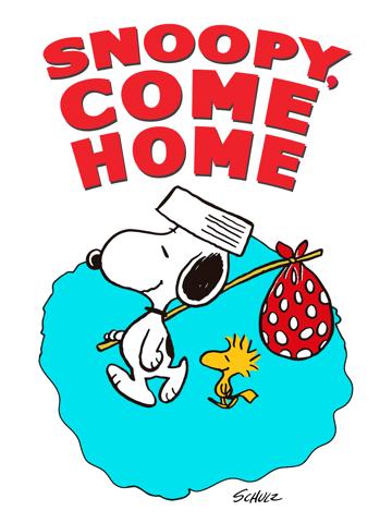Snoopy, gyere haza! poszter