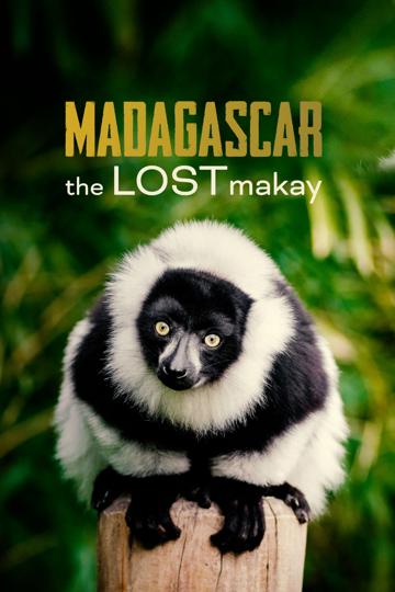 Madagascar: The Lost Makay poszter