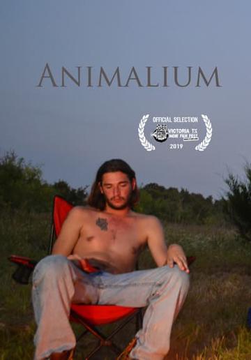 Animalium poszter
