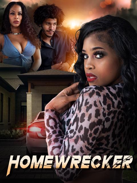 Movie poster for Homewrecker