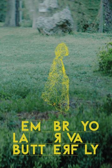 Hernyó báb pillangó poszter