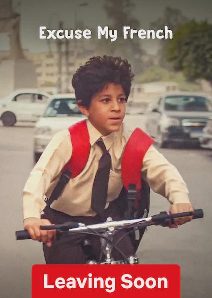 Poster för Excuse My French