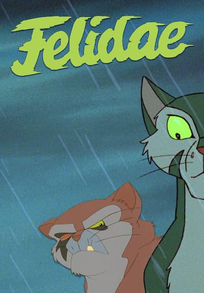 Felidae