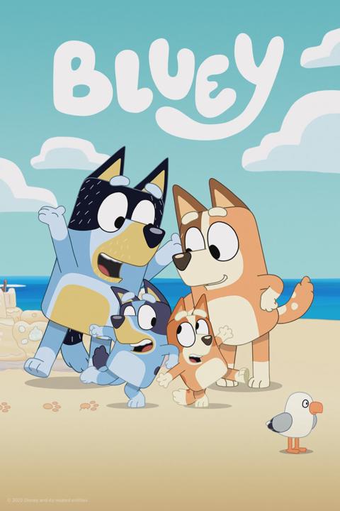 Bluey
