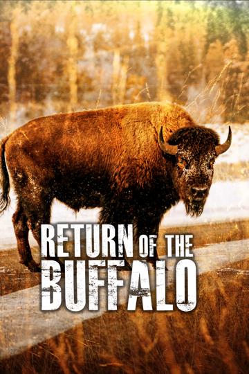 The Return of the Buffalo: Restoring the Great American Prairie poszter