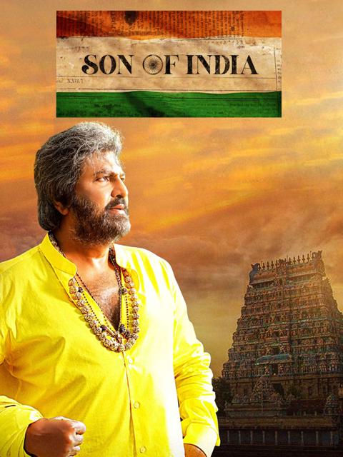 Movie poster for Son of India