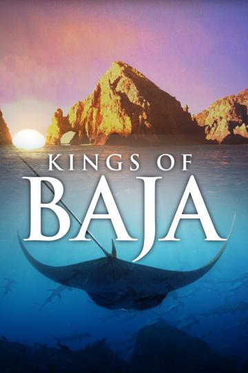 Kings of Baja poszter