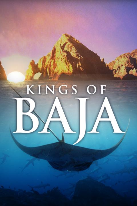 Movie poster for Kings of Baja