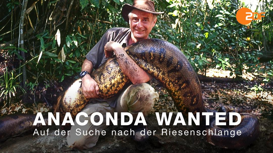Wanted Anaconda