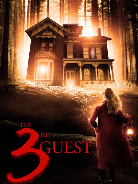 Movie poster for The 3rd Guest