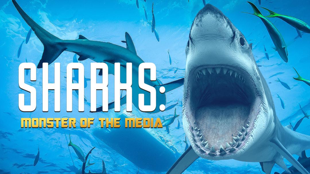Background image for Sharks: Monster of the Media