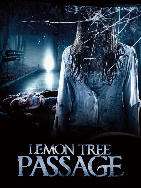 Poster för Lemon Tree Passage