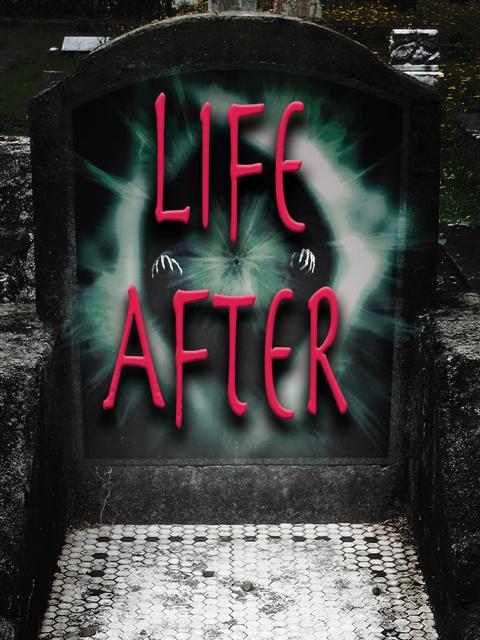 Movie poster for Life After