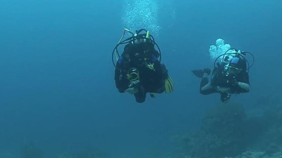 Background image for Jacques Cousteau's Legacy – Return to the Undersea World