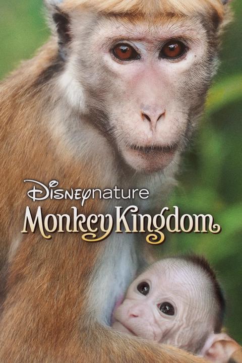 Movie poster for Monkey Kingdom