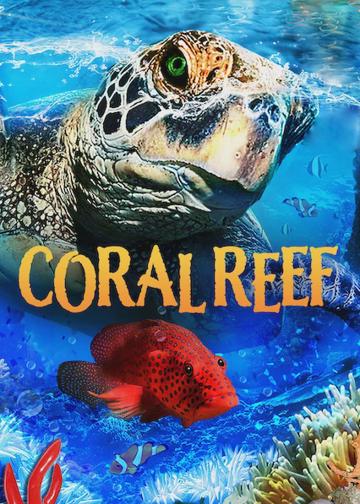 Coral Reef: Magic of the Indo Pacific poszter