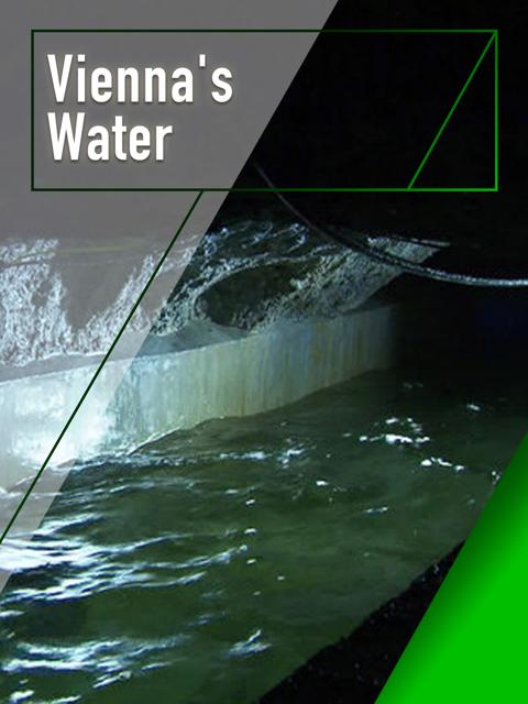 Poster för Vienna's Forests - Jewels of Green