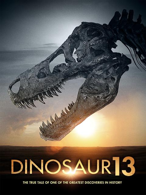 Dinosaur 13