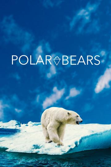 Polar Bears poszter