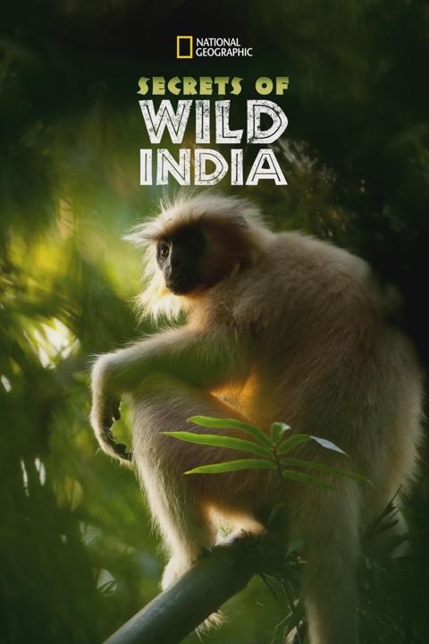 Poster för Secrets of Wild India