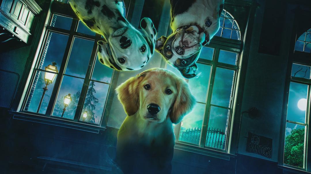 Background image for Phantom Pups