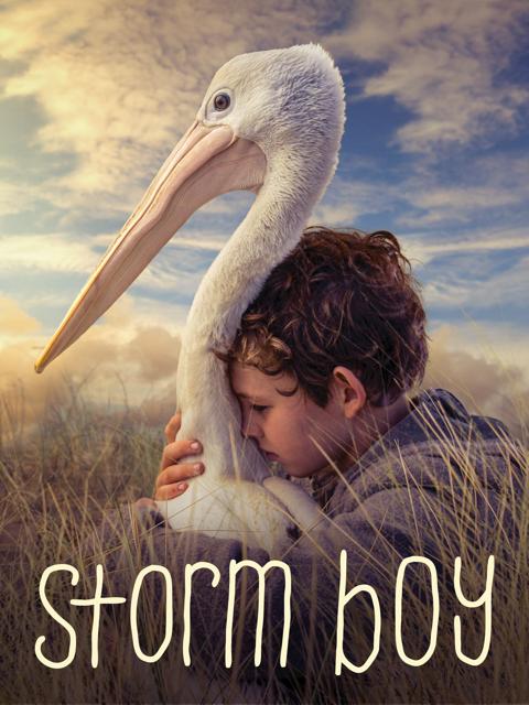 Storm Boy