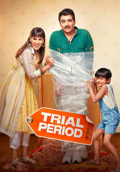 Movie poster for Trial Period