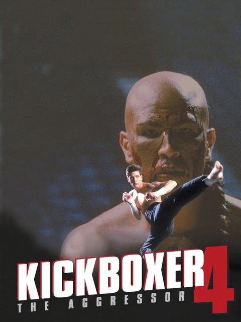 Kickboxer 4: The Aggressor