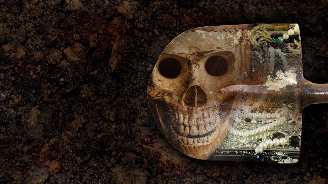 Background image for Digging for Britain