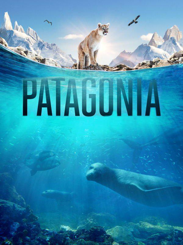 Patagonia: Life on the Edge of the World