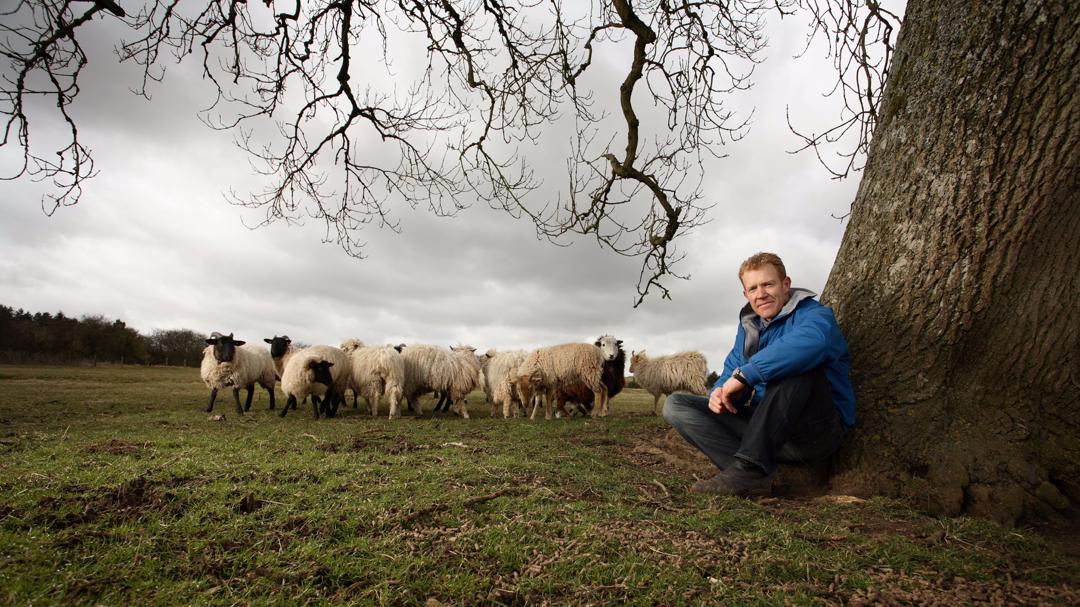 Background image for Countryfile