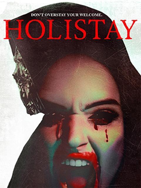 Movie poster for Holistay