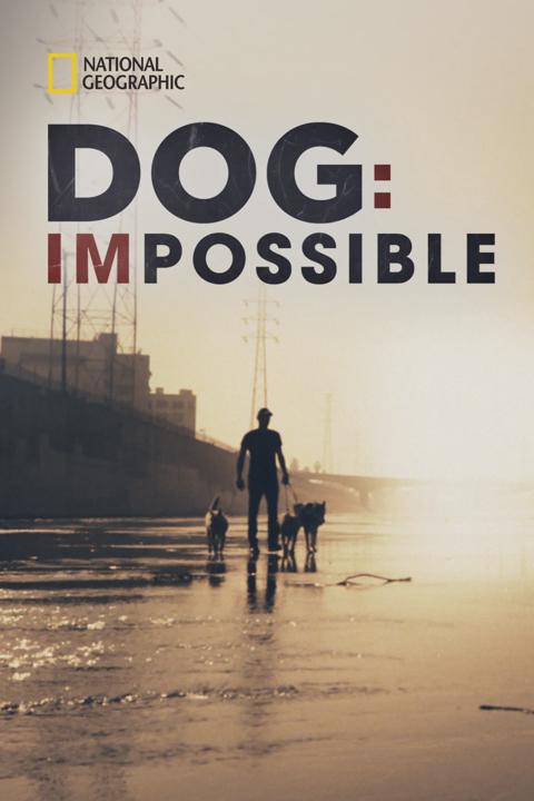Poster för Dog: Impossible