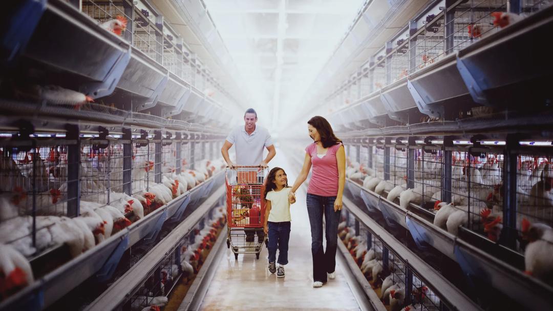 Background image for Poisoned: The Dirty Truth About Your Food