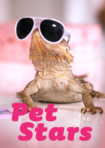 Pet Stars poszter