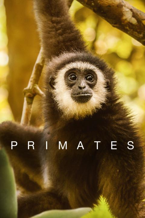 Series poster for Primates