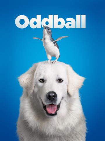 Oddball