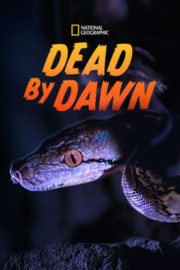 Dead By Dawn poszter
