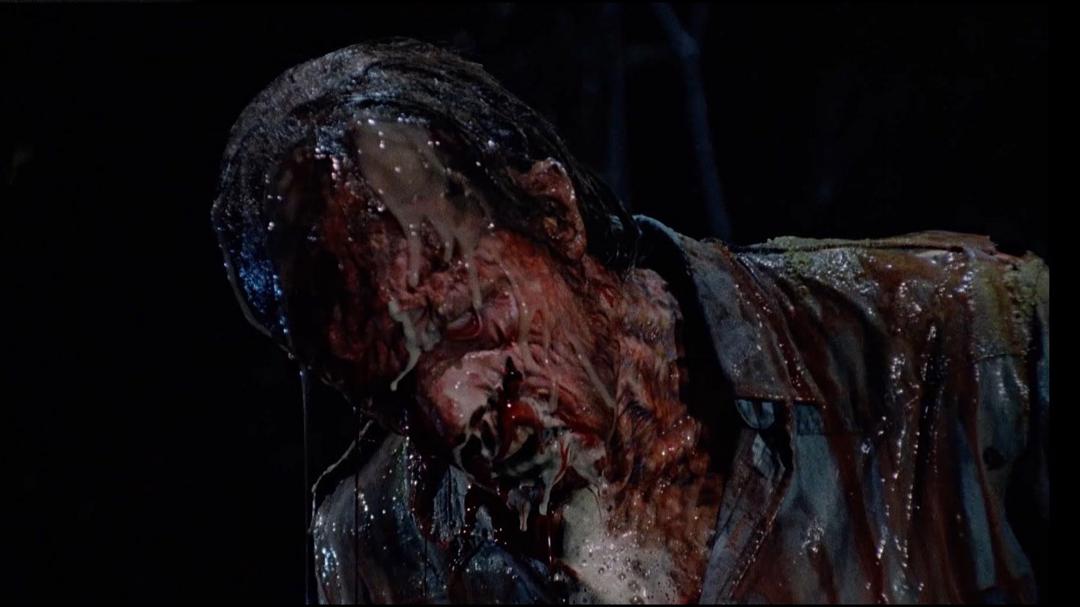 Background image for Howling IV: The Original Nightmare