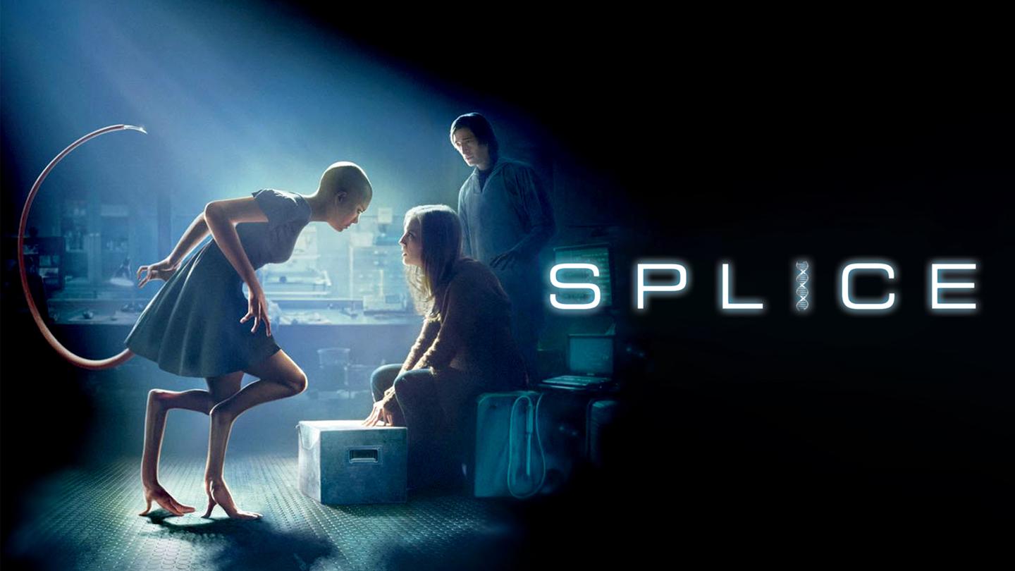 Splice banner
