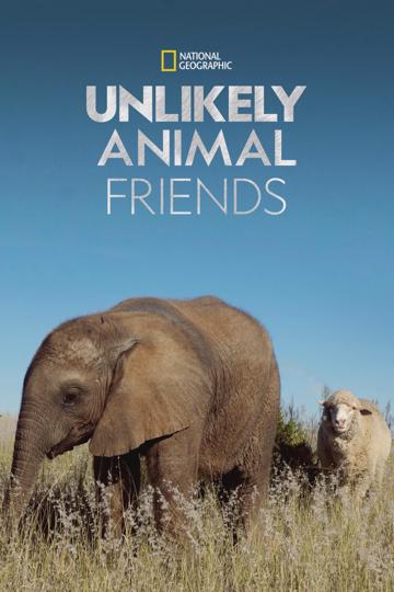 Unlikely Animal Friends poszter