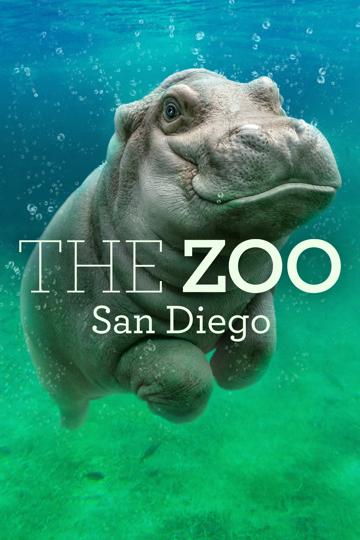 The Zoo: San Diego poszter