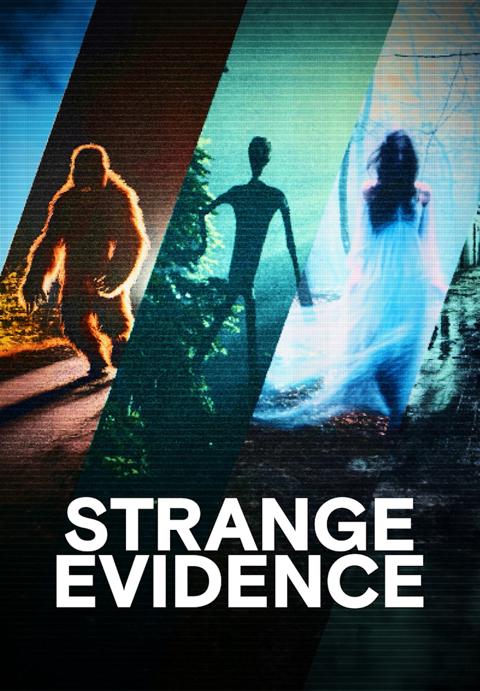 Series poster for Strange Evidence