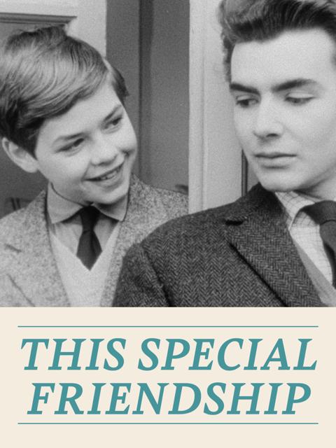 Movie poster for This Special Friendship
